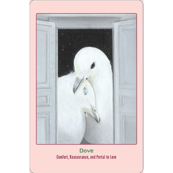Animal Love Oracle Cards 4