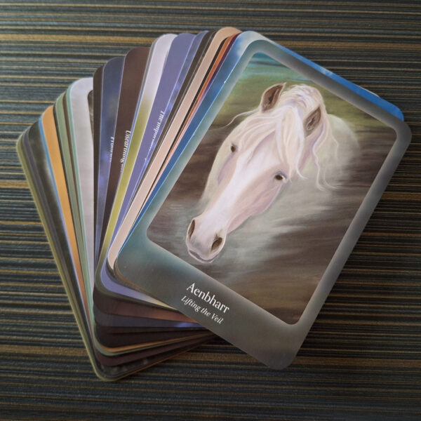 Council of Horses Oracle 16