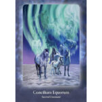 Council of Horses Oracle 6