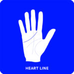 Palmistry Flashcards 2
