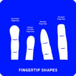 Palmistry Flashcards 4