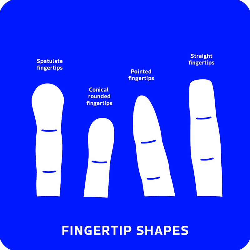 Finger Point Pyramid Bộ Palmistry Flashcards - Tiên Tri Bằng Thuật Xem Chỉ Tay