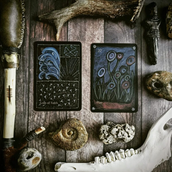 Shaman Way Oracle 14