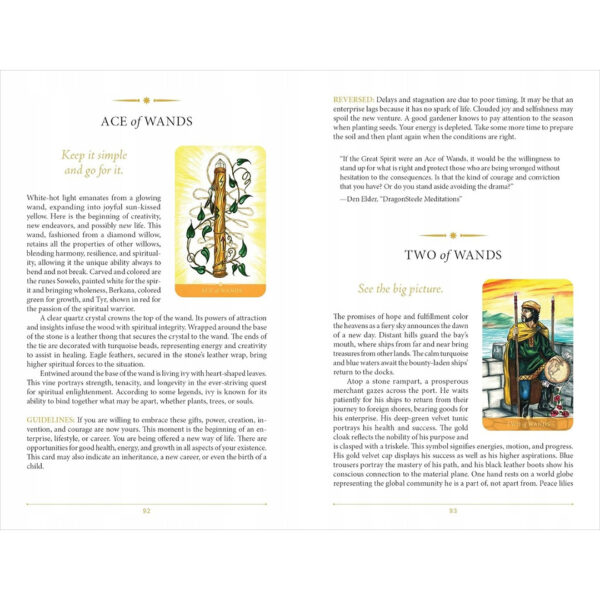 Steele Wizard Tarot 10