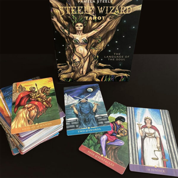 Steele Wizard Tarot 14