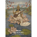 Earth and Sky Oracle 7