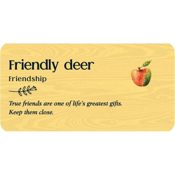 Forest Friends Cards 5