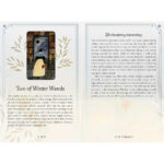 Seasons of the Witch Winter Tarot 13