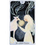 Seasons of the Witch Winter Tarot 7