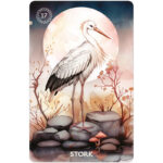 Autumn Embrace Lenormand 5