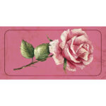 Love Affirmations Cards 12
