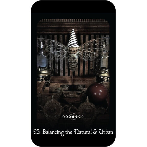 A Gothic Witch’s Oracle 3