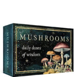 Mushrooms Cards 1