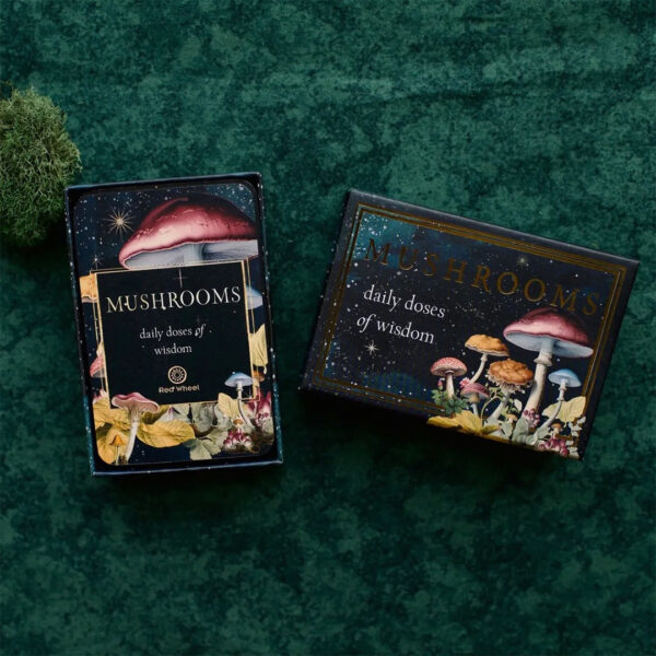 Mushrooms Cards 11
