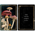 Mushrooms Cards 2