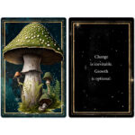 Mushrooms Cards 3