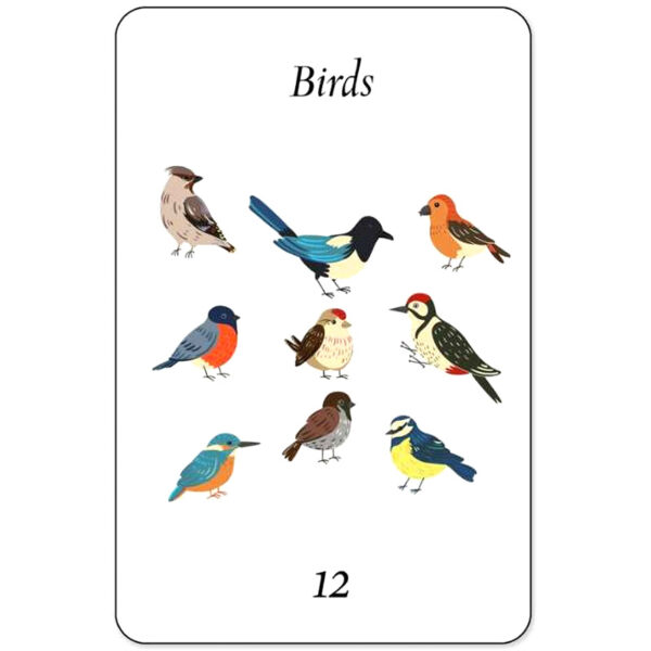 Pocket Lenormand 4