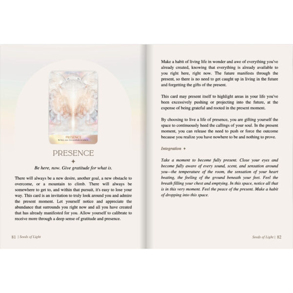 Seeds of Light Oracle 11