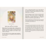 Seeds of Light Oracle 12