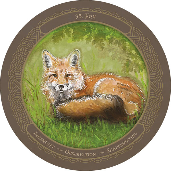 Enchanted Wheel Oracle 8