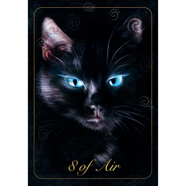 Ukrainian Tarot 5