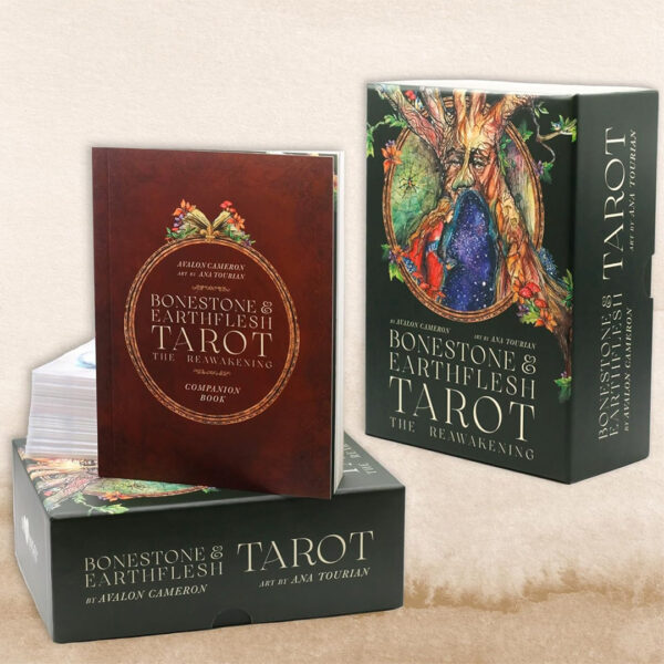 Bonestone and Earthflesh Tarot 12