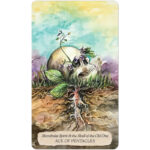 Bonestone and Earthflesh Tarot 6