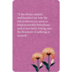 Book of Awakening Inspiration Deck 3