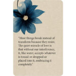 Book of Awakening Inspiration Deck 5