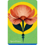 Book of Awakening Inspiration Deck 6