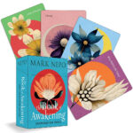 Book of Awakening Inspiration Deck 8