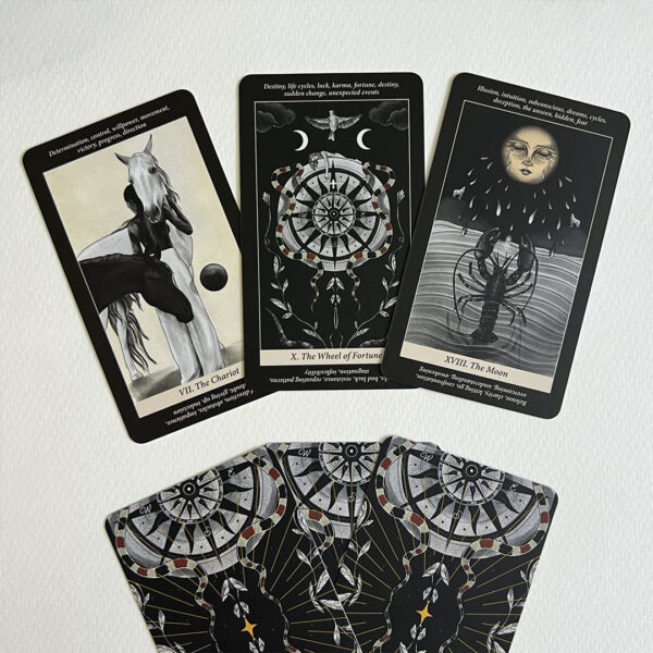 Soul Reflections Tarot 14