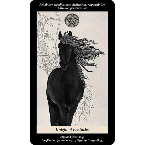 Soul Reflections Tarot 8