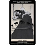Soul Reflections Tarot 9