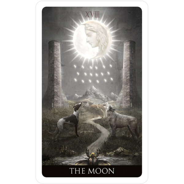 Heaven and Earth Tarot – Mini Edition 9