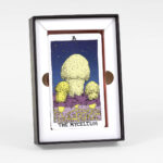 Mushroom Tarot 11