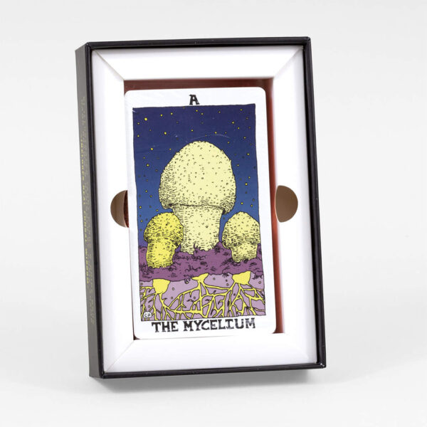 Mushroom Tarot 11