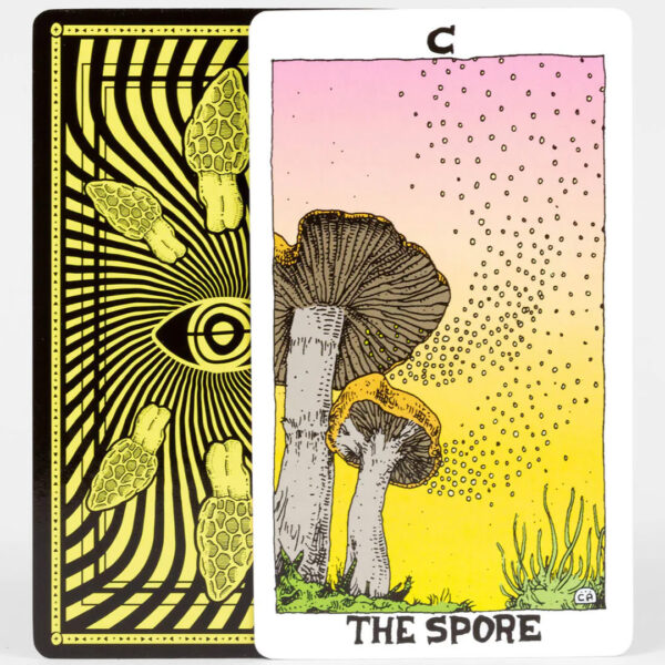 Mushroom Tarot 2