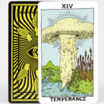 Mushroom Tarot 3