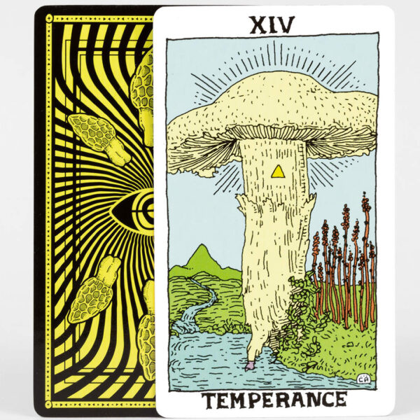 Mushroom Tarot 3