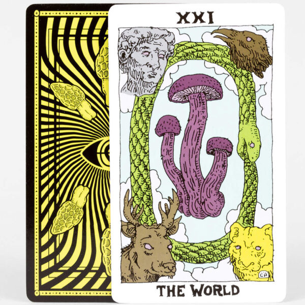 Mushroom Tarot 5