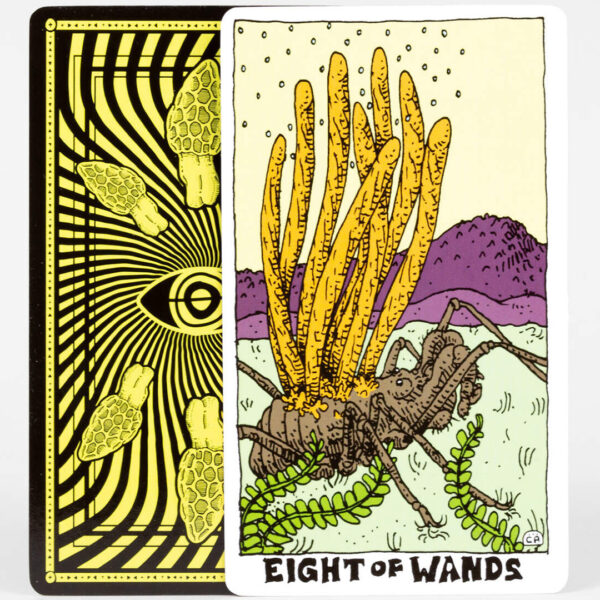 Mushroom Tarot 7