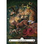 Witch Way Home Oracle 5