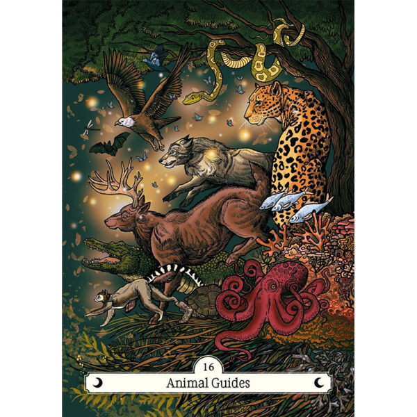 Witch Way Home Oracle 5
