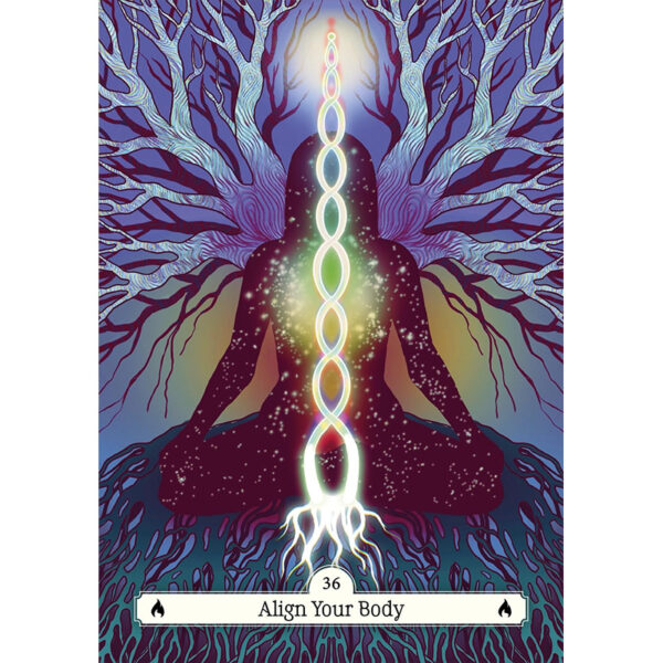 Witch Way Home Oracle 8