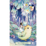 Forest Spirit Imprint Tarot – Collector Edition 11