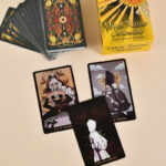 Vital Ruins Chronicle Tarot – Pocket Edition 5