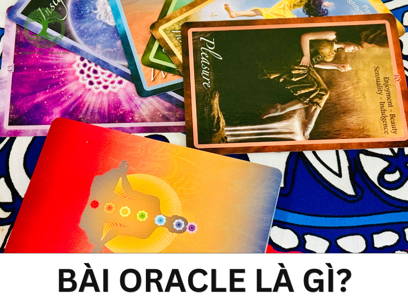 Bài Oracle Là Gì? Nguồn Gốc, Cấu Trúc, Công Dụng và Cách Chọn 1
