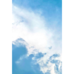 blue (10)
