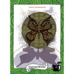 Healthy Witch Oracle 14